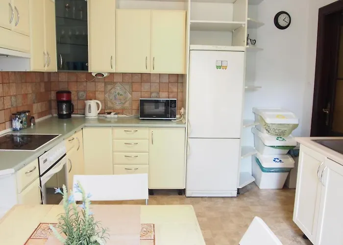 Апартаменты Hotelique *